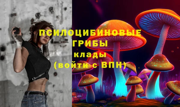 2c-b Алексеевка