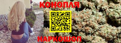 стафф Донской
