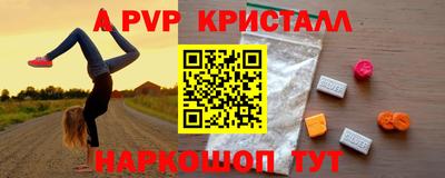 стафф Донской