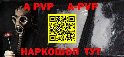 стафф Донской