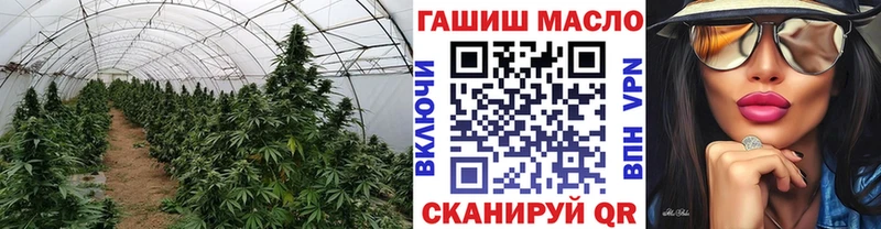Дистиллят ТГК THC oil купить цена Лесосибирск