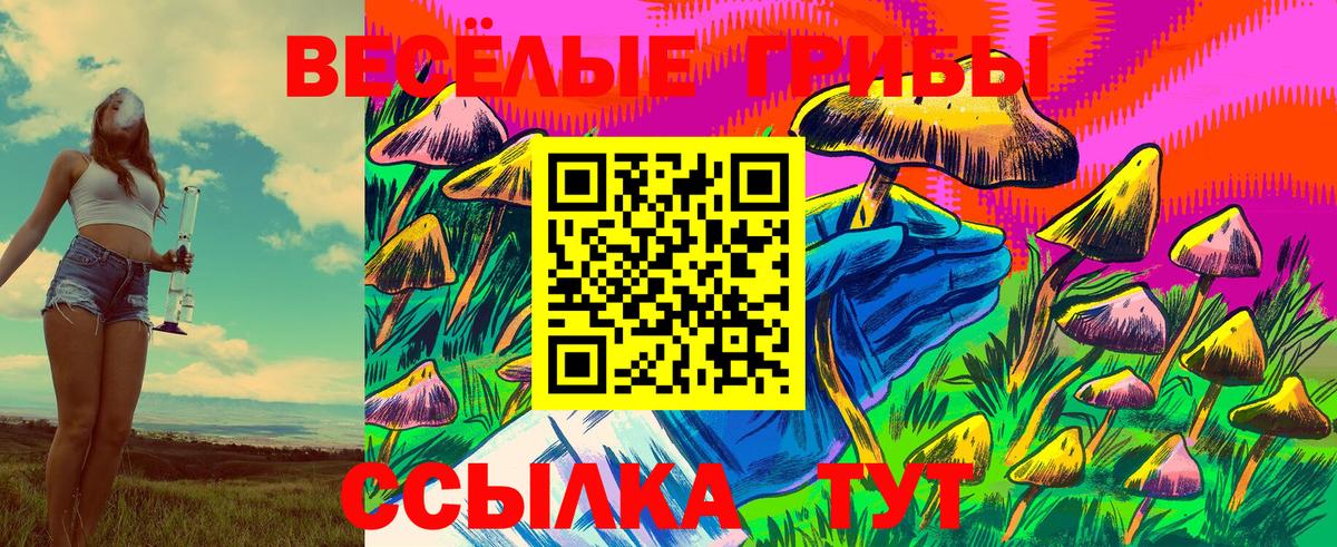 Псилоцибиновые грибы ЛСД  Псилоцибиновые грибы GOLDEN TEACHER  купить закладку  Вход с VPN  Лесосибирск 