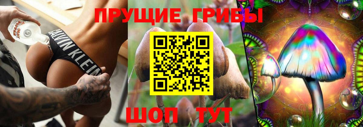 Псилоцибиновые грибы прущие грибы Лесосибирск